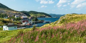 Fischerdorf an der Küste von Neufundland; Trinity, Neufundland und Labrador, Kanada — Stockfoto