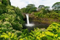 Rainbow Falls; Hilo, Island Of Hawaii, Hawaii, Estados Unidos de América - foto de stock