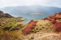 Червоний, синій, зелений і жовтий кольори осені На лузі біля Яншань Даван міста; Тибет — стокове фото