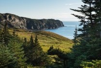 Paysage de Crow Head le long de la côte atlantique ; Twillingate, Newfound et Labrador, Canada — Photo de stock