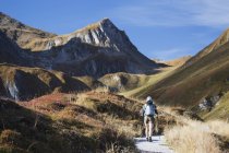 Wanderin unterwegs mit grasbewachsenen Hängen und Berggipfeln; Hintertux, Österreich — Stockfoto