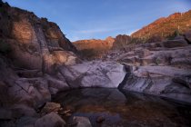 Petroglifi al sentiero geroglifico del canyon, al Gold Canyon, catena montuosa della superstizione; Arizona, Stati Uniti d'America — Foto stock