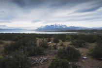Національний парк Торрес Дель Пайн; Чилі — стокове фото