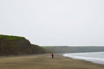 Un hombre caminando solo en la playa de Aberdaron; Gales - foto de stock
