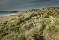 Fanore Beach On The Wild Atlantic Way Coastal Route ; Comté de Clare, Irlande — Photo de stock