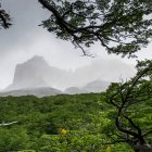 Vallée française, parc national de Torres Del Paine ; Torres Del Paine, région de Magallanes et Xotica Chilena, Chili — Photo de stock