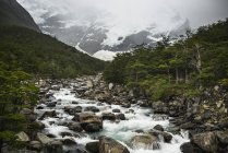 Valle Francés, Parque Nacional Torres Del Paine; Torres Del Paine, Magallanes y Antártida Región de Chilena, Chile - foto de stock