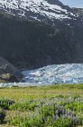 Glacier de Mendenhall dans la vallée de Mendenhall, forêt nationale des Tongass ; Alaska, États-Unis d'Amérique — Photo de stock
