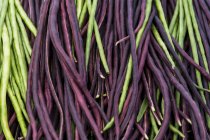 Feijão longo vermelho e verde Yard (Vigna unguiculata subso. sesquipedalis) — Fotografia de Stock