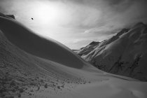 Snowboarder che fa un trucco a mezz'aria; Haines, Alaska, Stati Uniti d'America — Foto stock