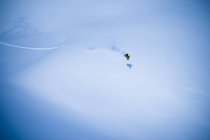 Snowboarding extrema em uma encosta coberta de neve; Haines, Alasca, Estados Unidos da América — Fotografia de Stock