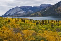 Herbstlandschaft des Tagish Lake südlich von Whitehorse, Yukon Territory, Kanada — Stockfoto