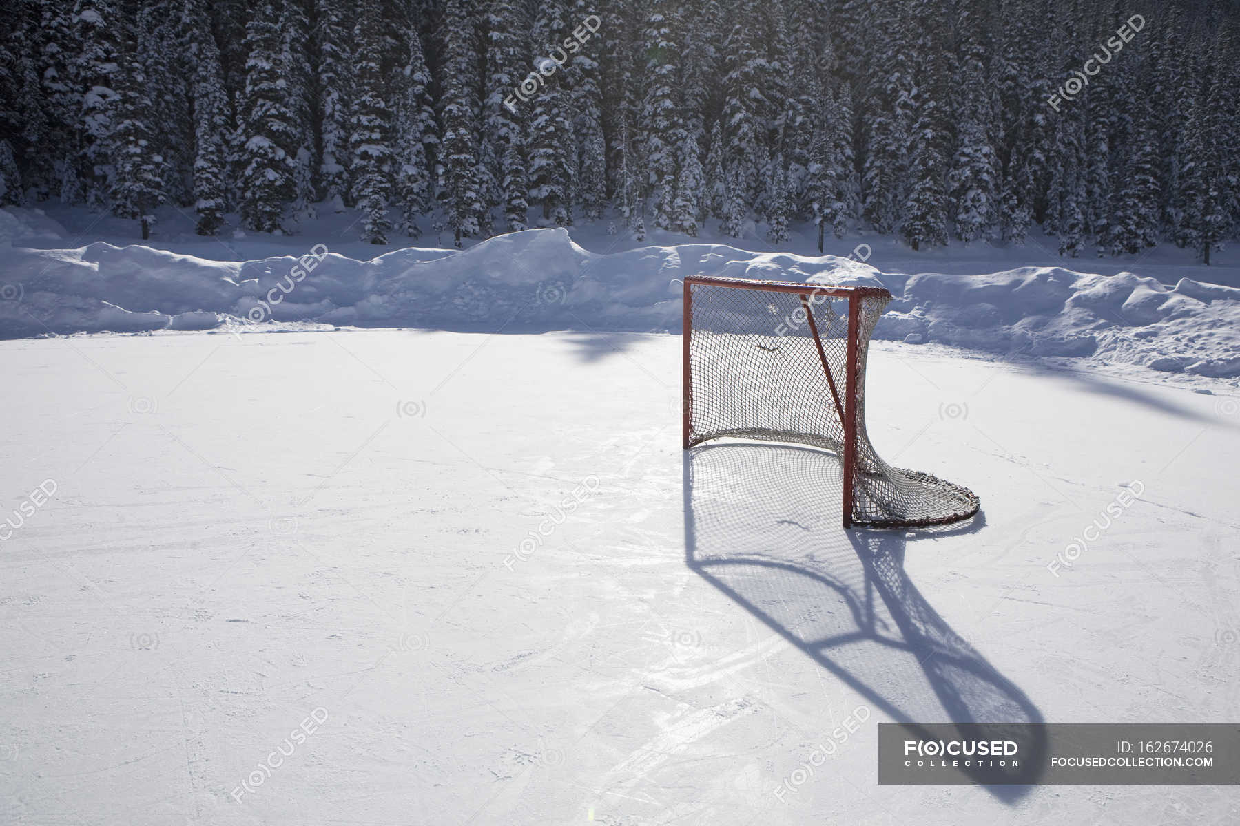 ice hockey net