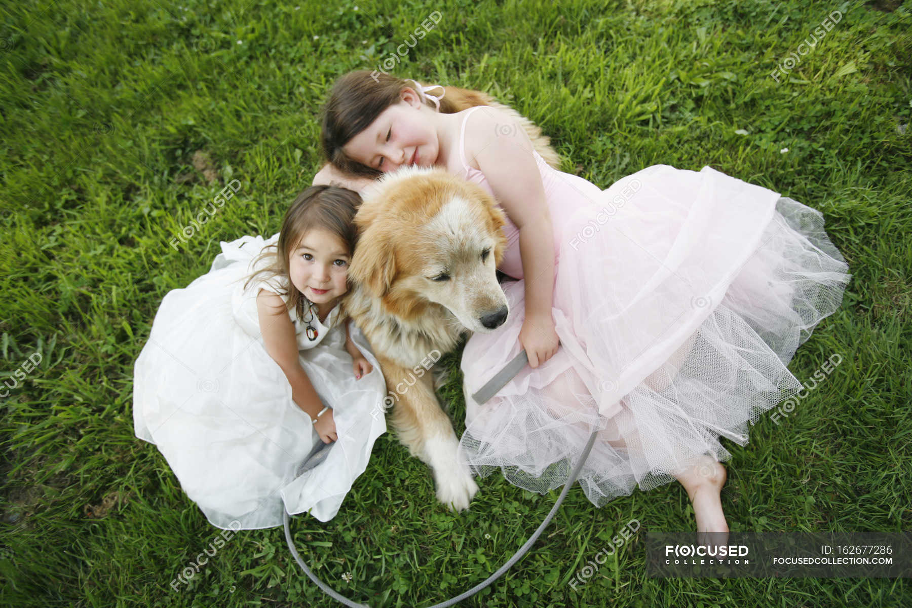 Two Sisters In Dresses — life, backdrop - Stock Photo | #162677286