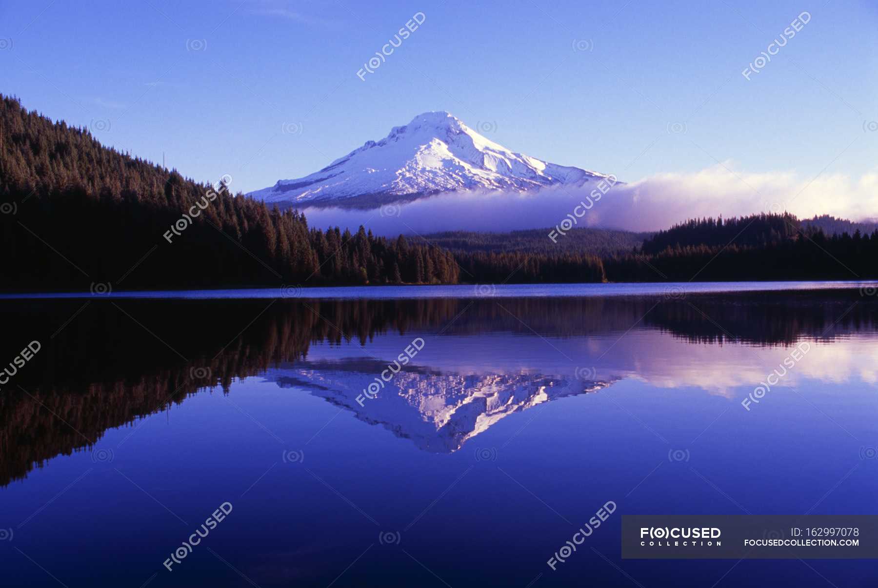 Mount Hood National Forest Landscape Backdrop Stock Photo 162997078   Focused 162997078 Stock Photo Mount Hood National Forest 