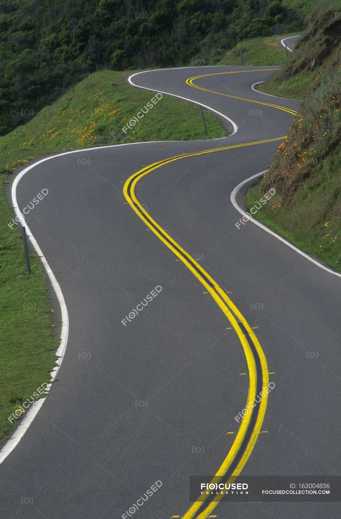 Curve path. Curve path