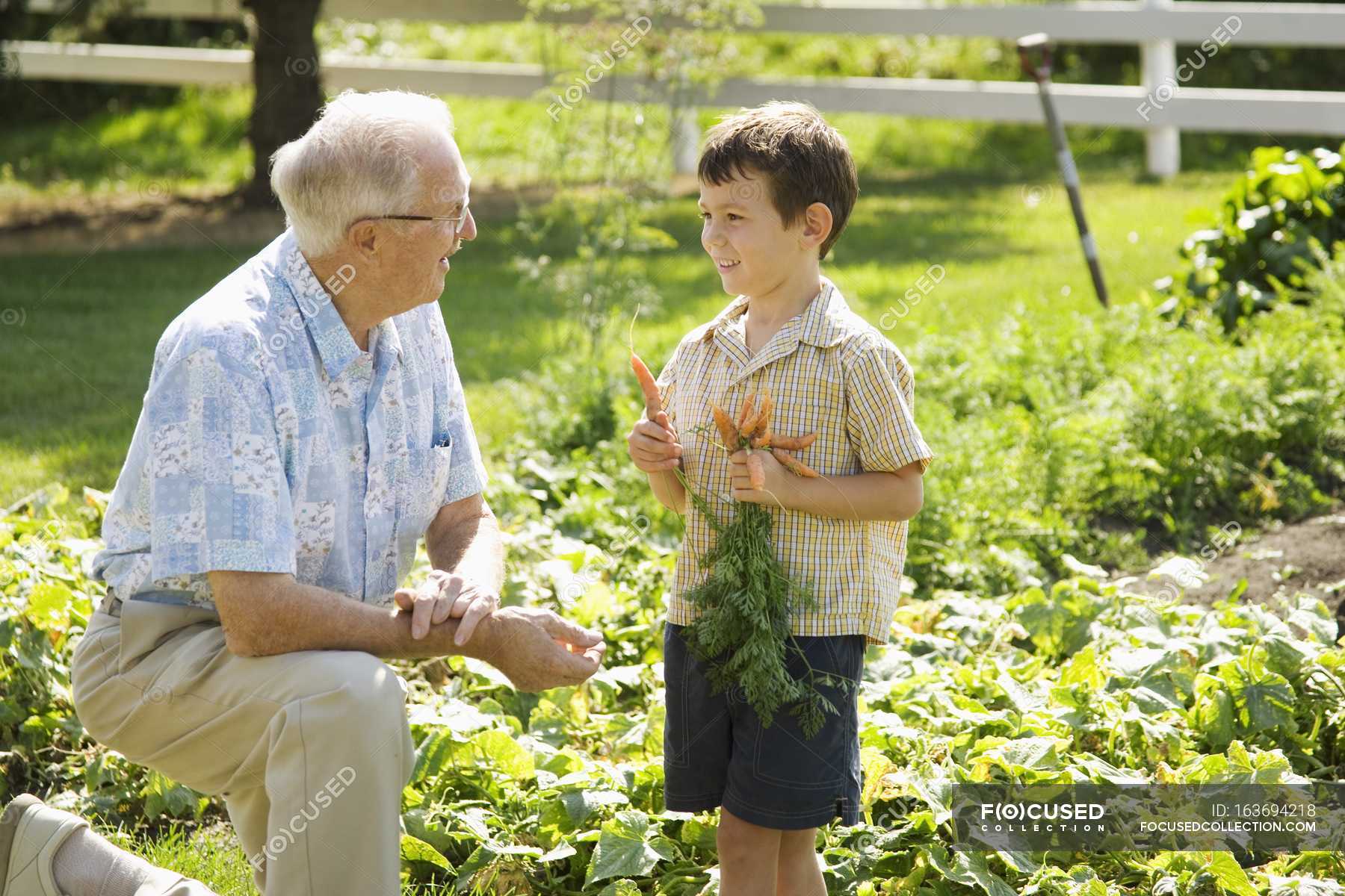 Grandfather And Grandson In Garden - harvest, floral - Stock Photo #1636942...