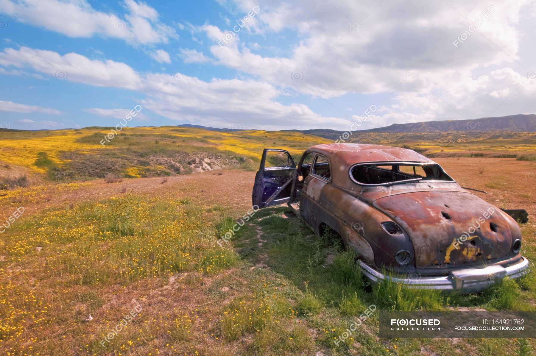 Abandoned Car In field — destroyed, wild flowers - Stock Photo | #164921762