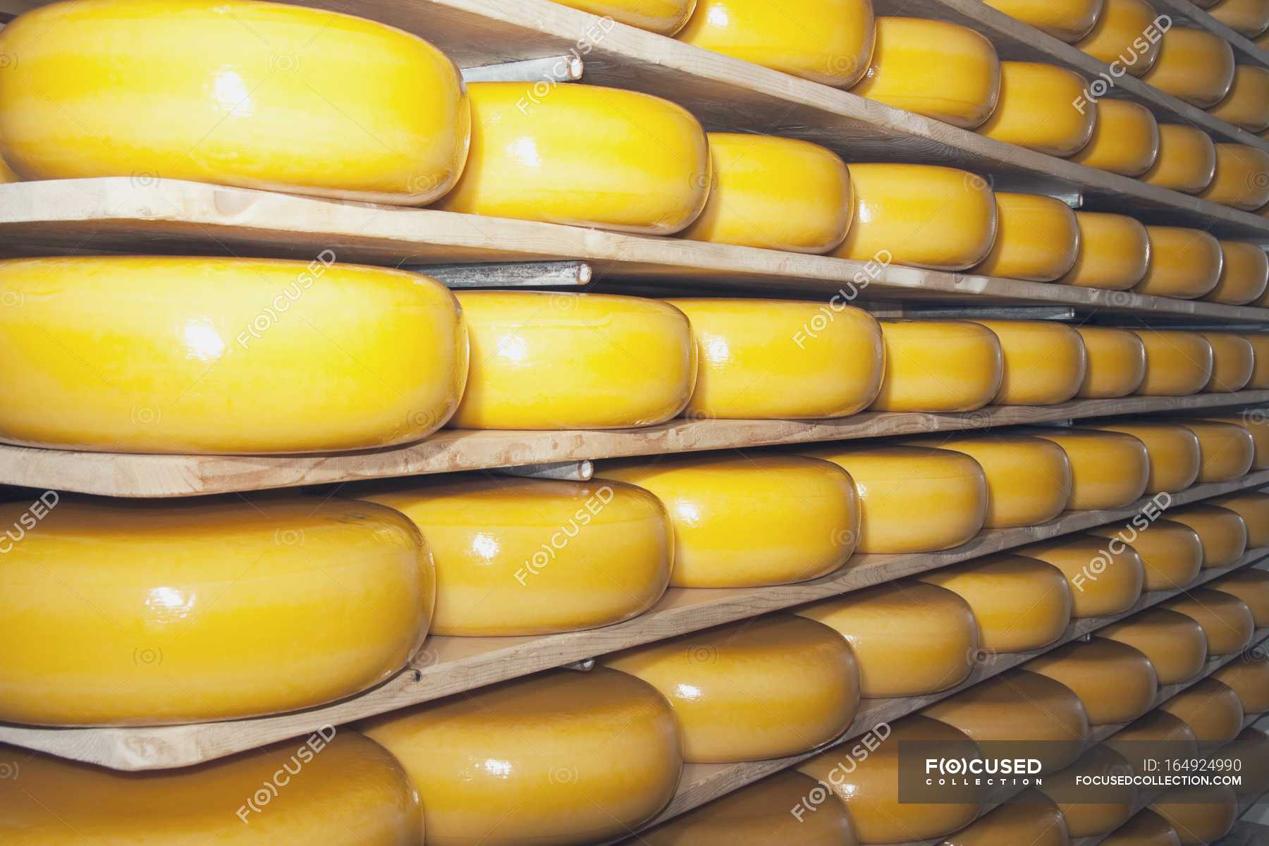 Cheese Factory, Alberta, Canada — yellow, rounds Stock Photo 164924990