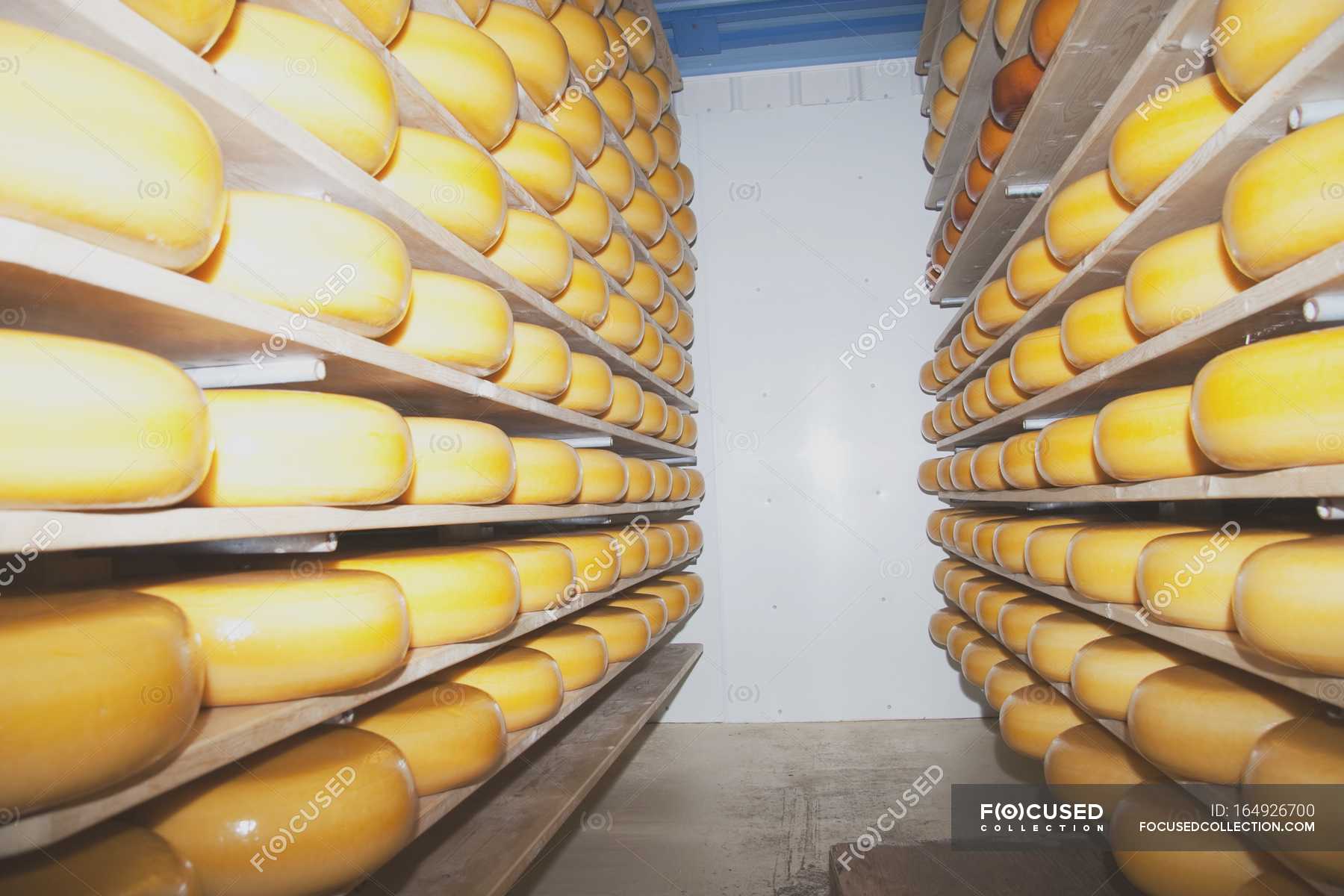 Cheese Factory, Alberta, Canada — milk, food Stock Photo 164926700