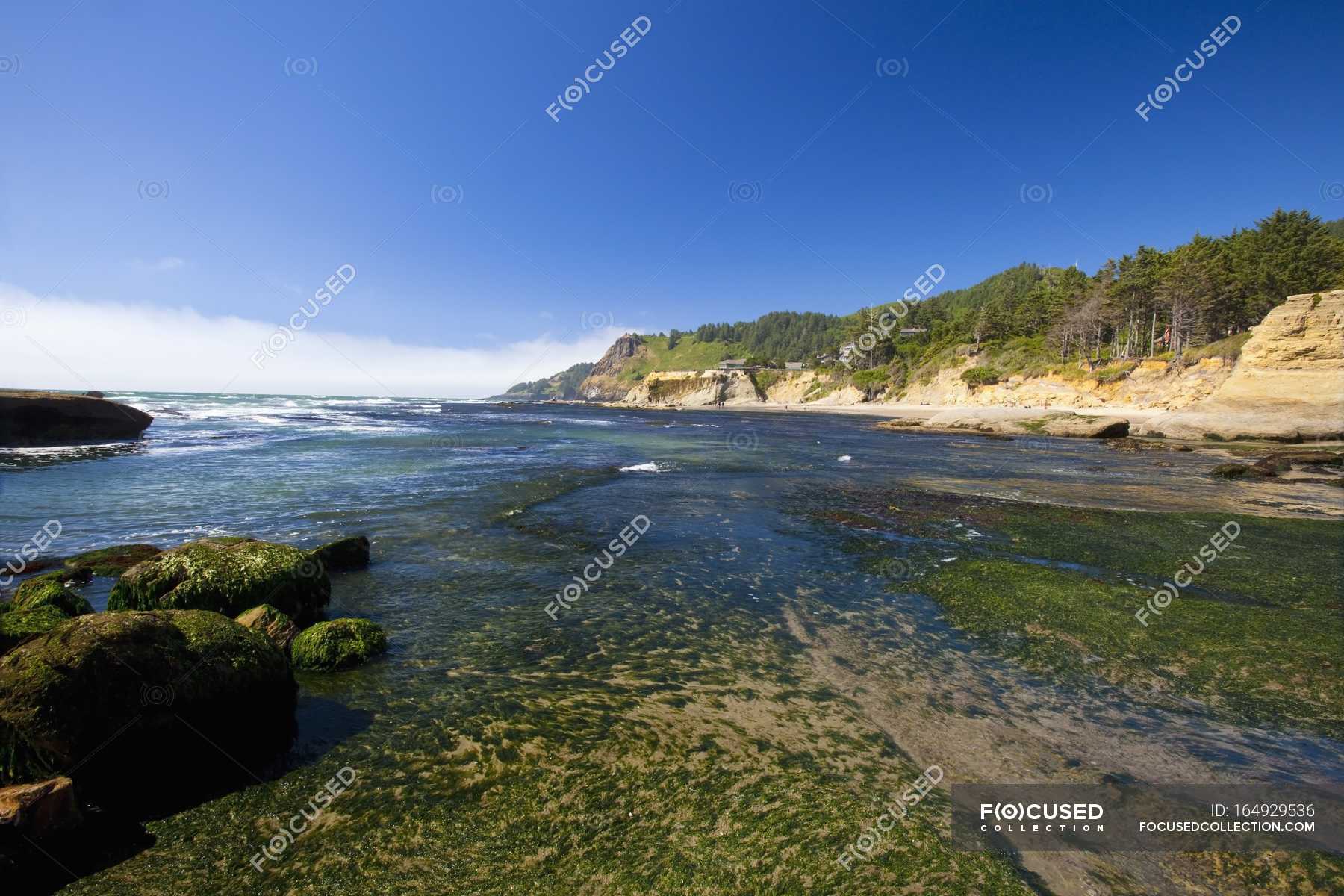 Otter Rock Beach Along The Oregon Coast Inspiration Landscape Otter Rock Beach Along The Oregon Coast