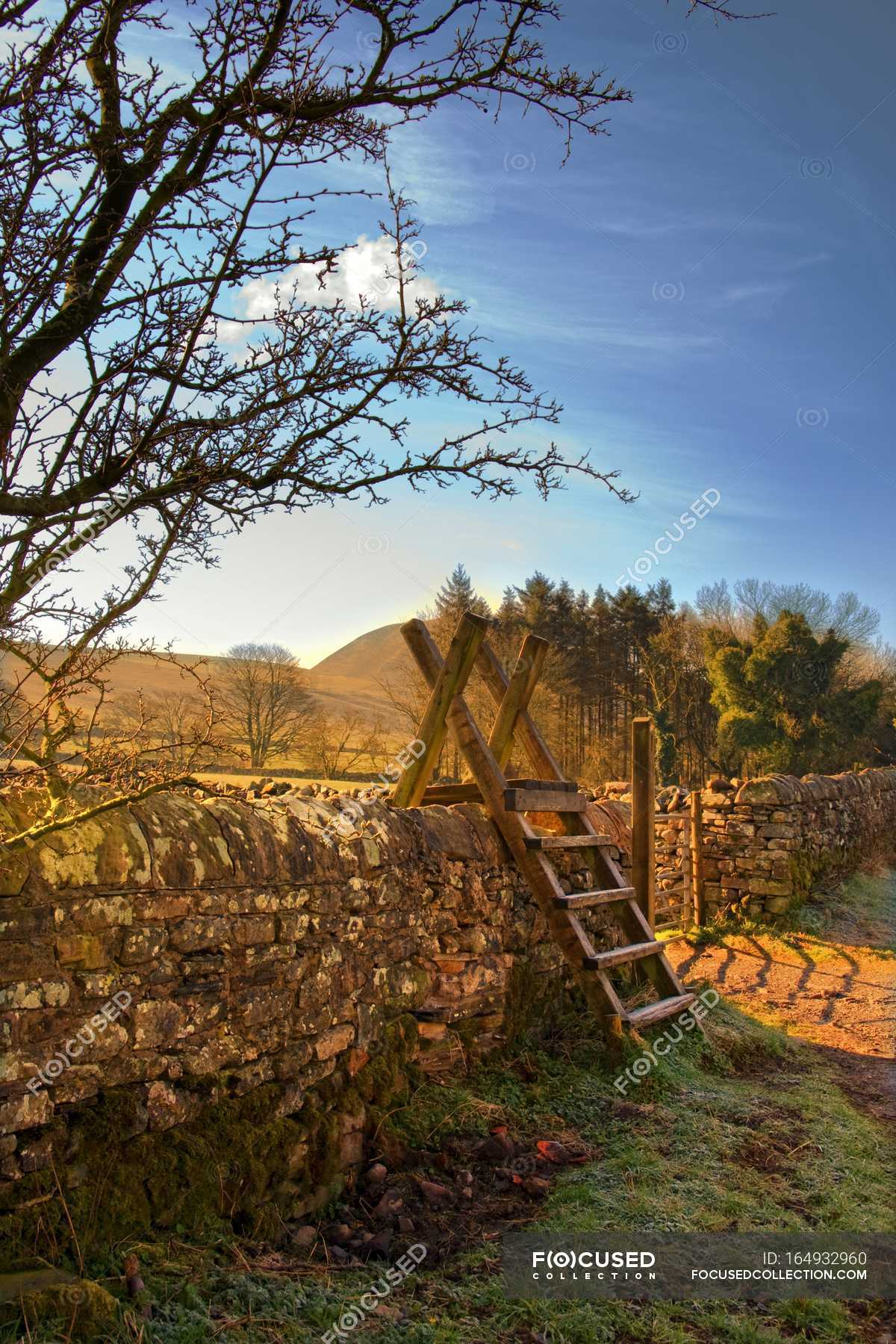 Ladder Over Stone Wall — scenery, freshness Stock Photo 164932960