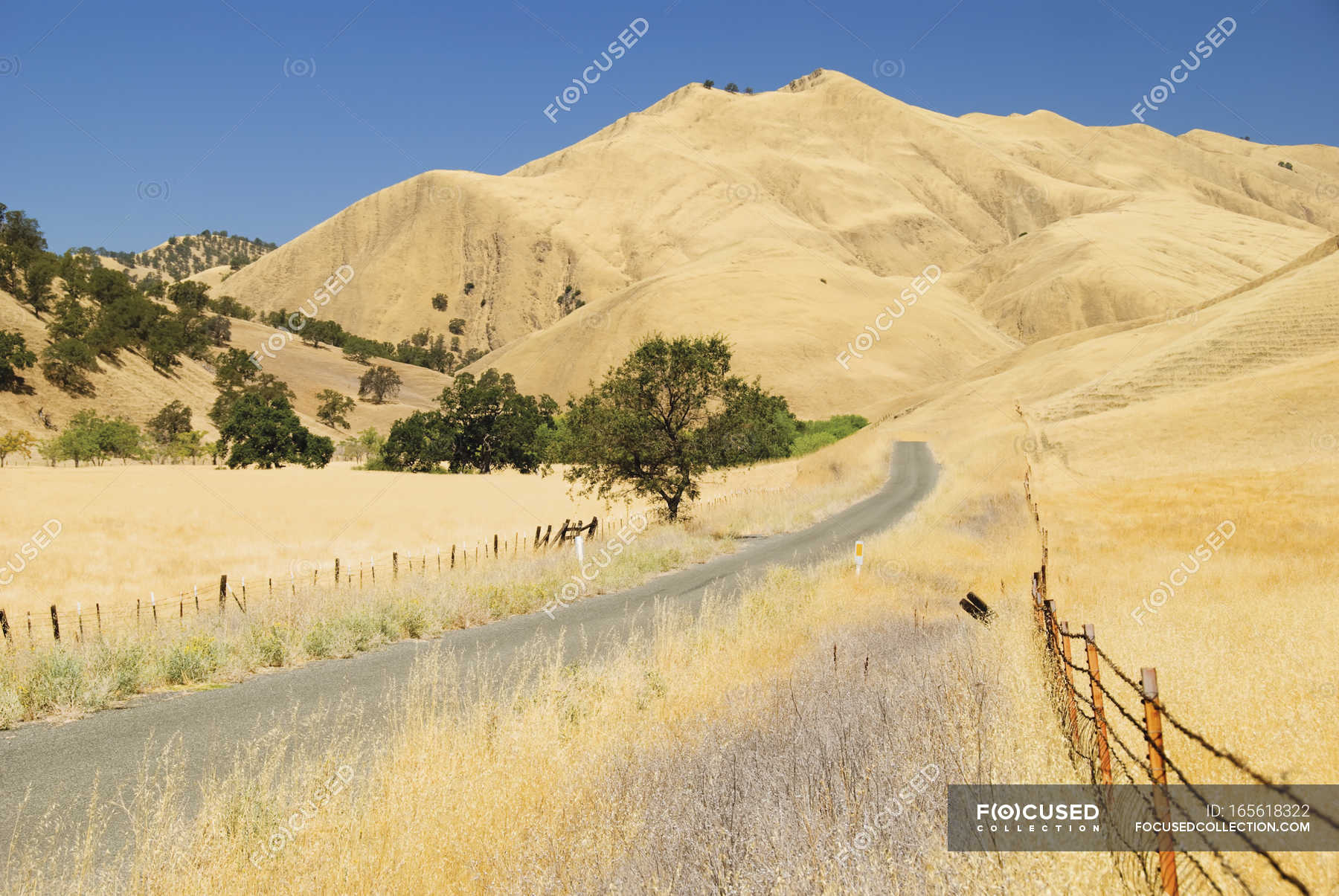 Golden hills of northern california — horizontal, united - Stock Photo ...