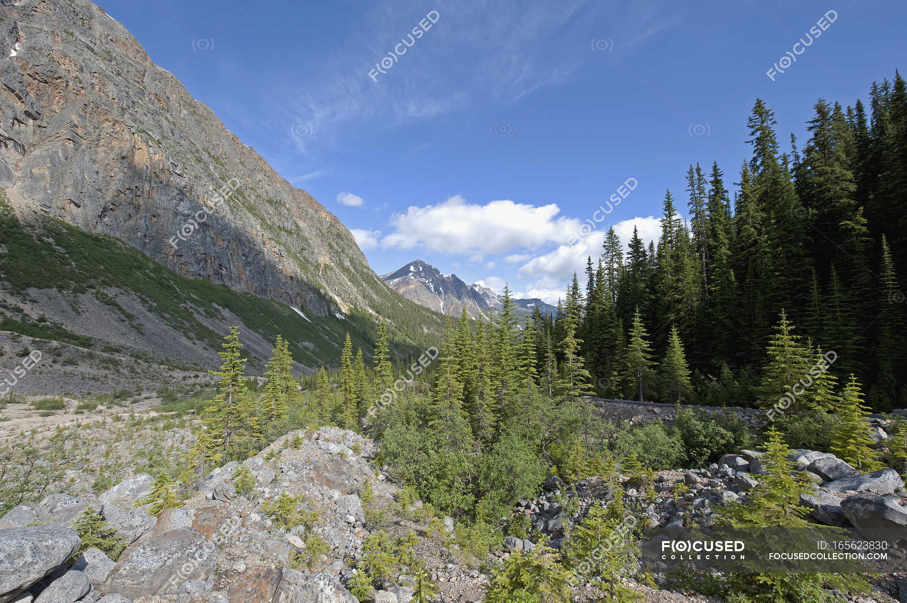 Mount edith cavell — sky, rocky Stock Photo 165623830