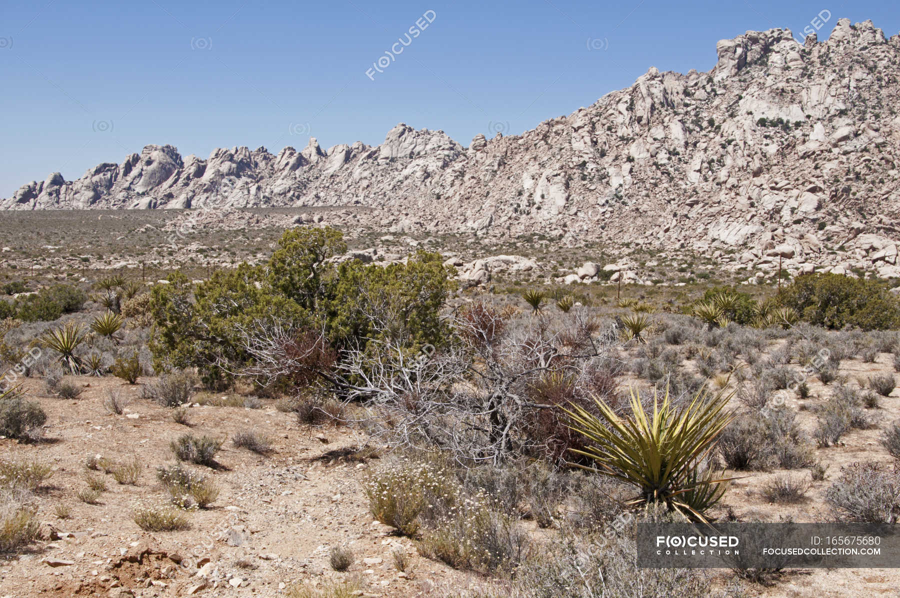 Mountains Of Mojave Desert National Preserve — outdoors, stones Stock