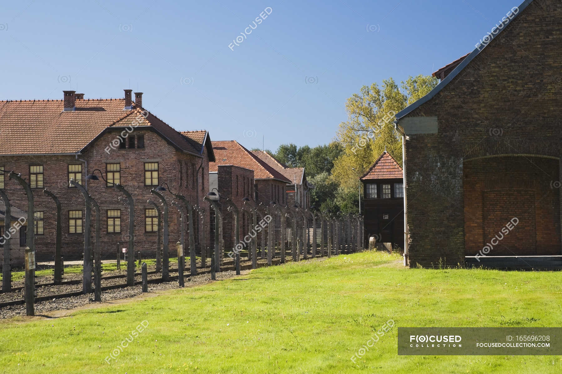 auschwitz-concentration-camp-stock-photos-royalty-free-images-focused