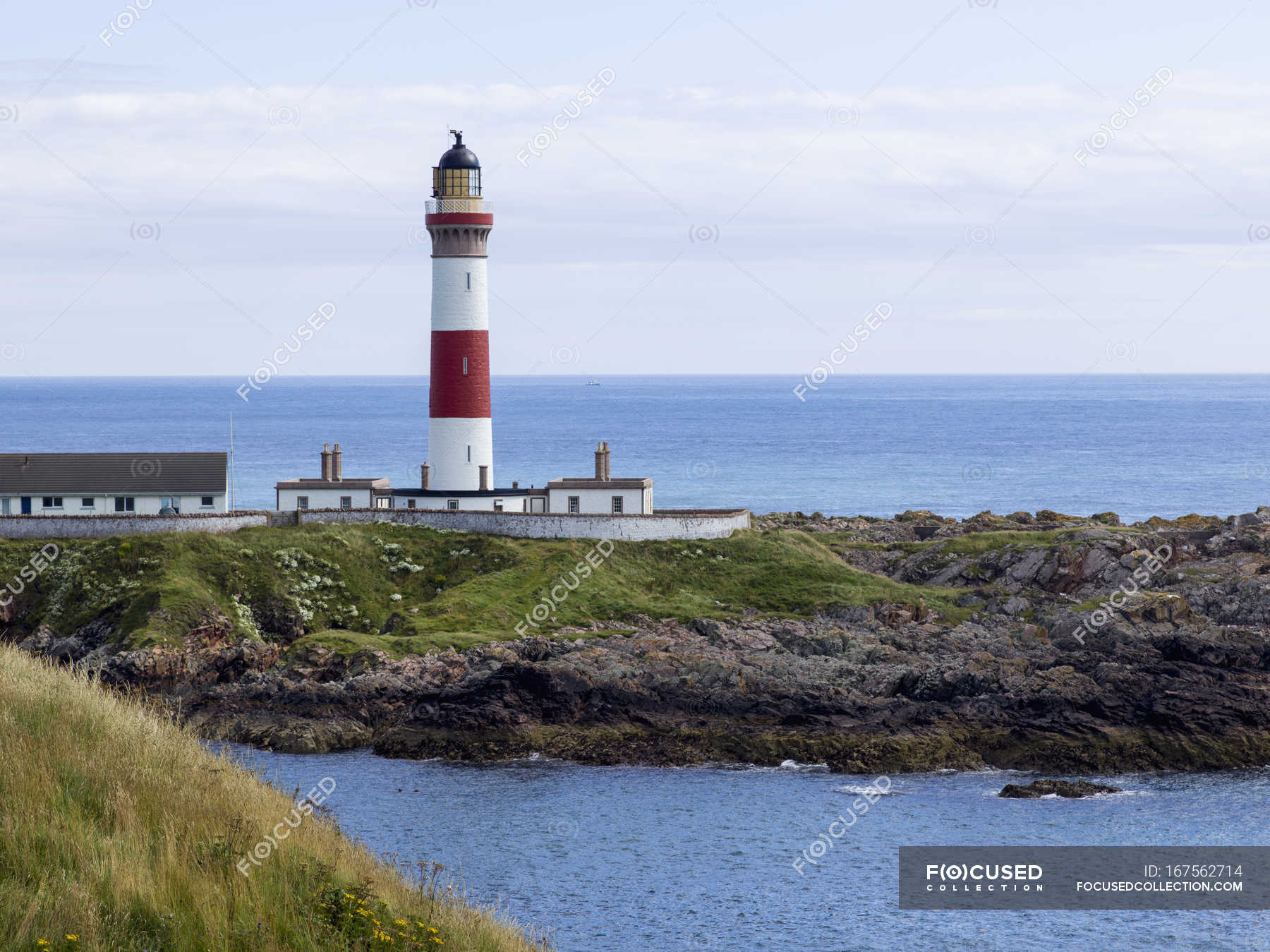 Buchan Ness Lighthouse — serenity, hillside - Stock Photo | #167562714