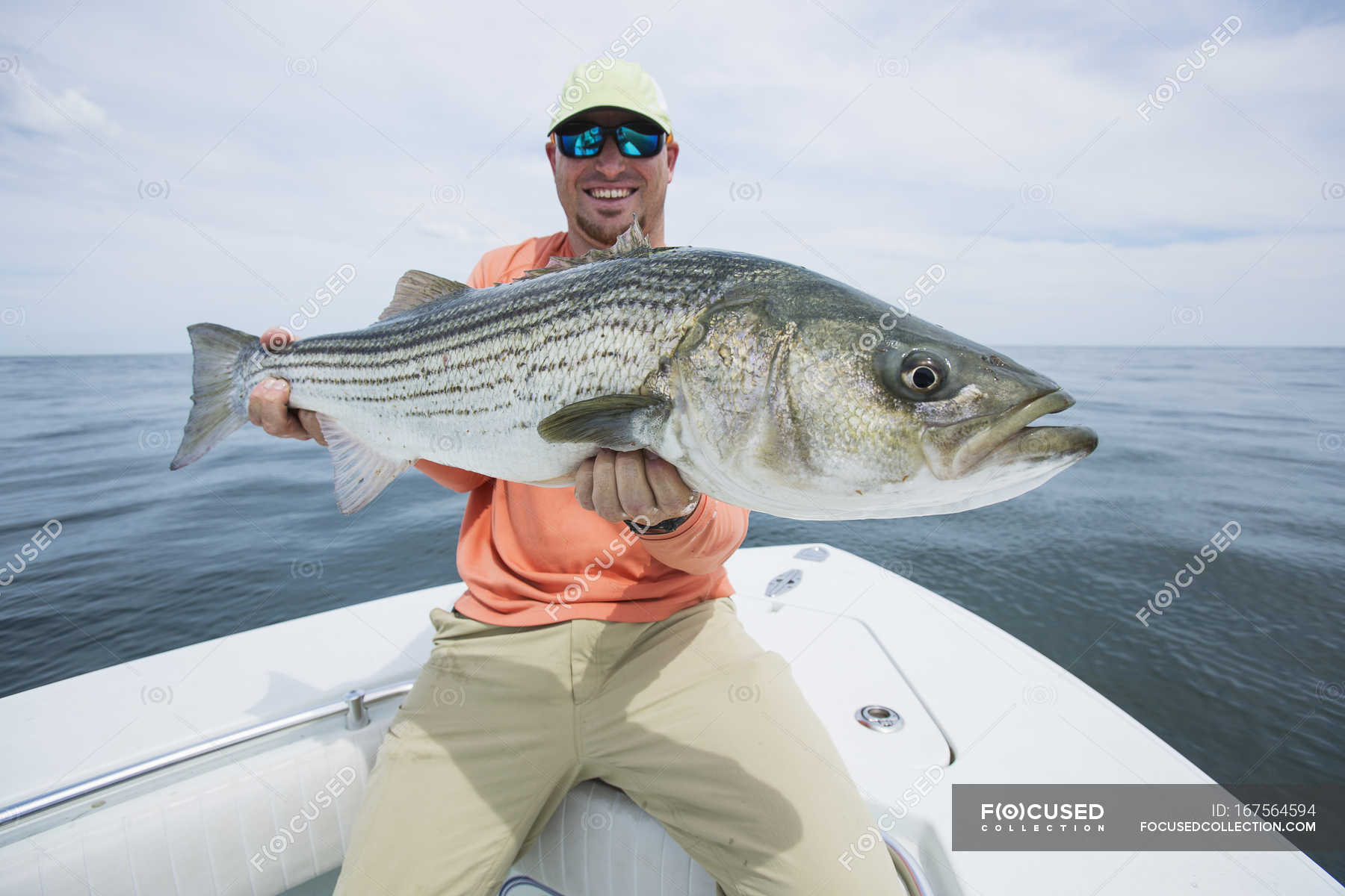 Fisherman holding fresh caught striper fish, Boston harbour. Boston