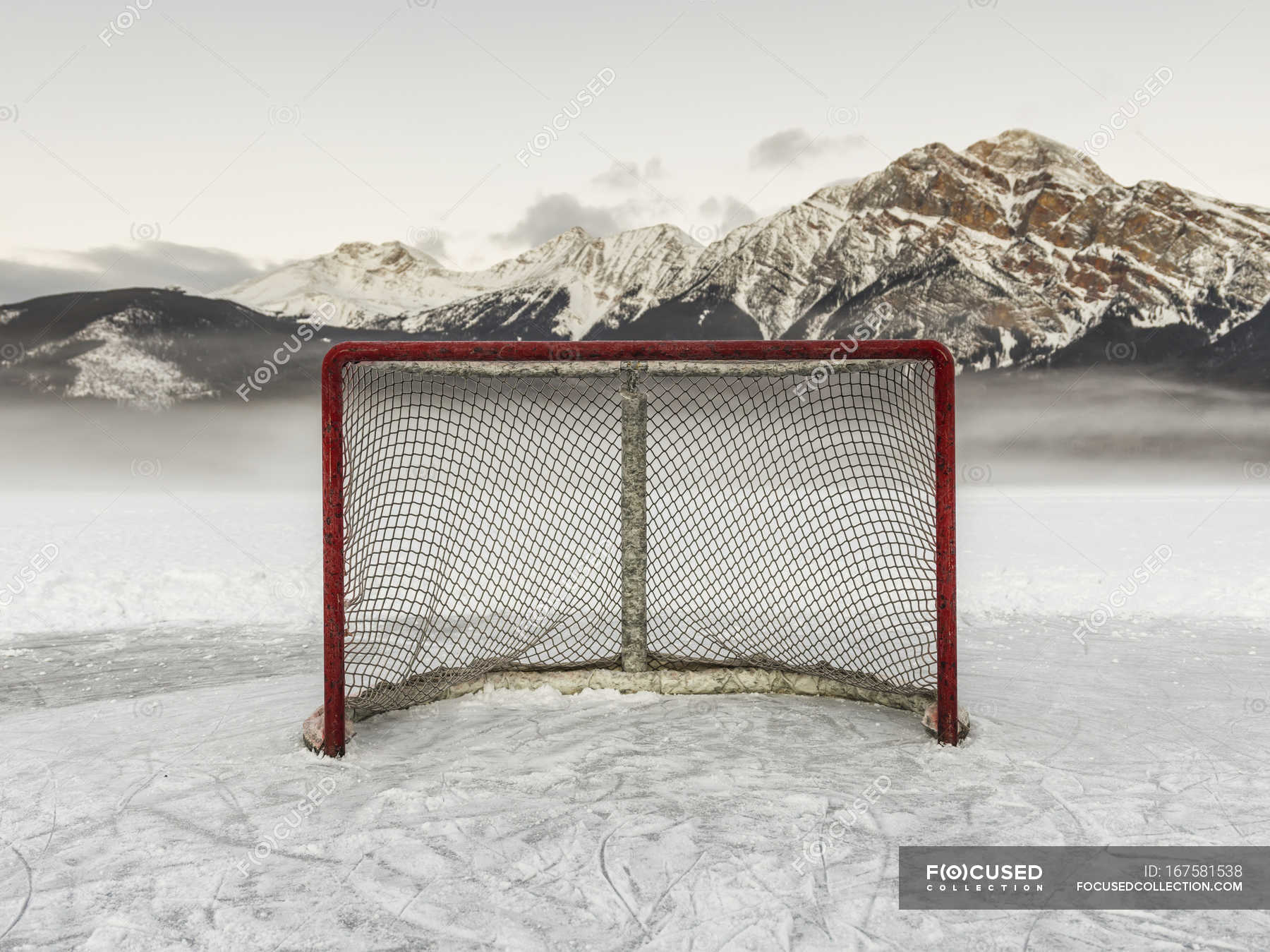 ice hockey net