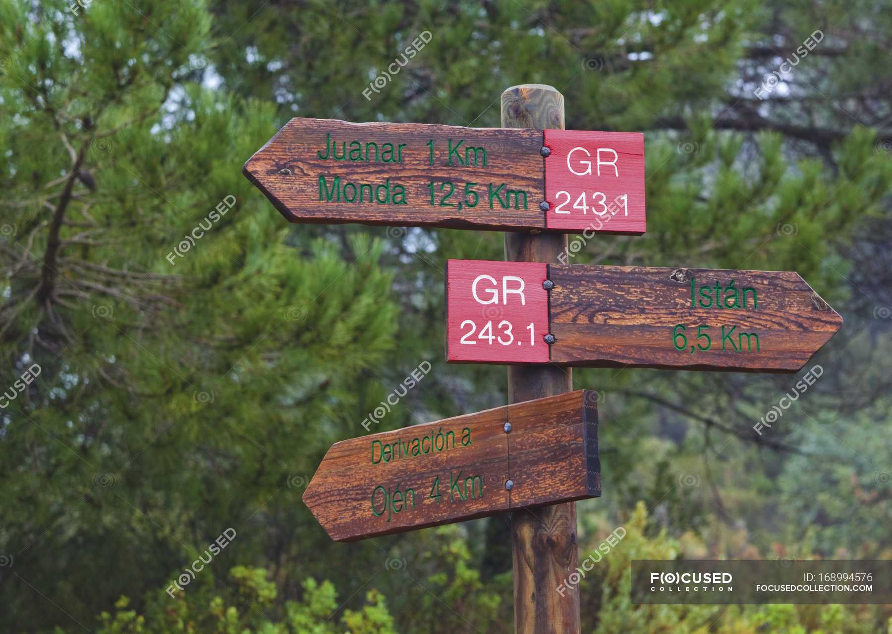 sign-post-showing-walking-trails-trees-directional-sign-stock