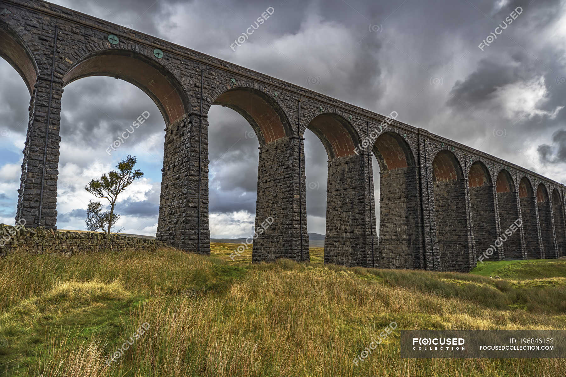 Ribblehead viaduct carries - Stock Photos, Royalty Free Images | Focused