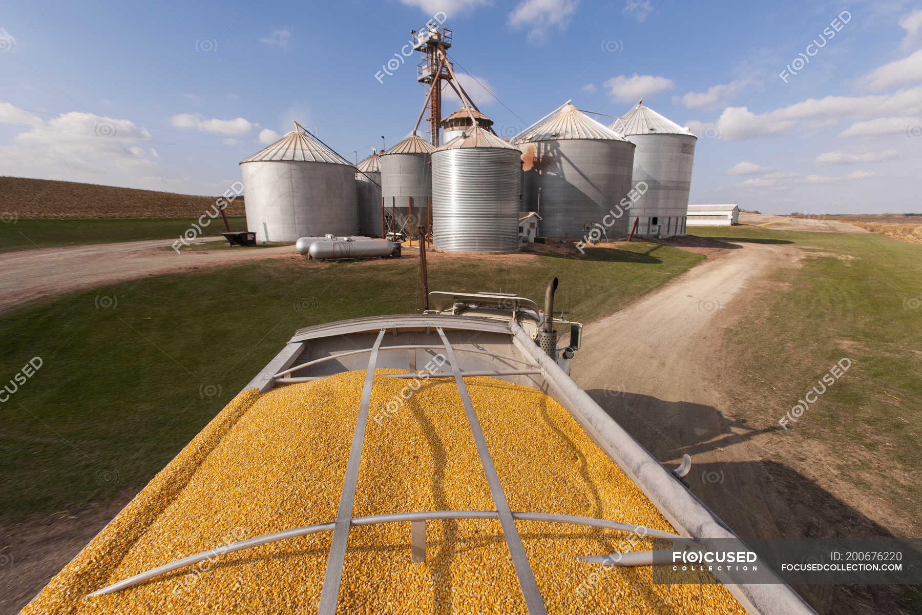 Grain truck loaded with corn at grain dryer and bin complex during corn harvest, near Nerstrand