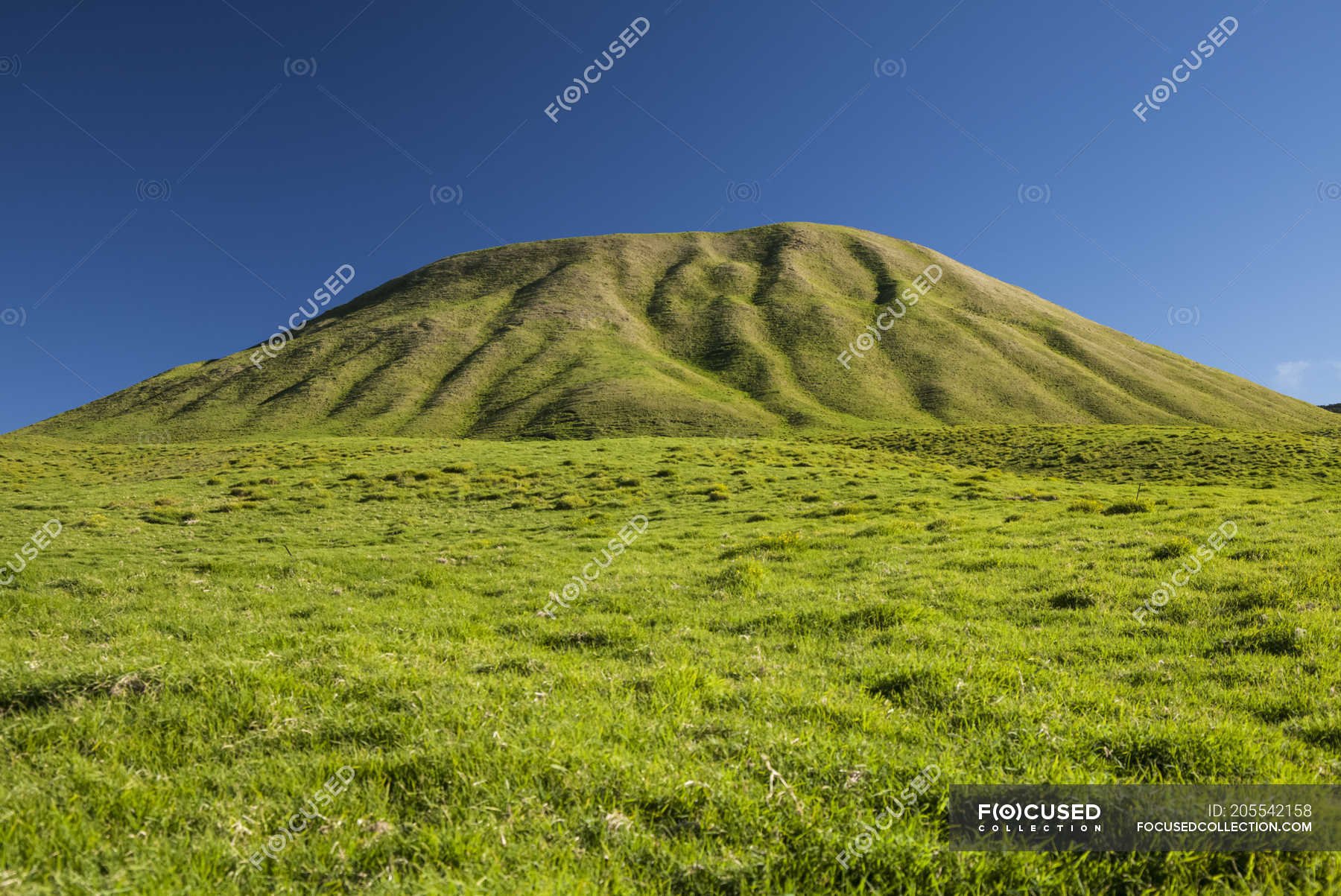 Scenic view of green cinder cone in a cattle pasture, Kahua Ranch