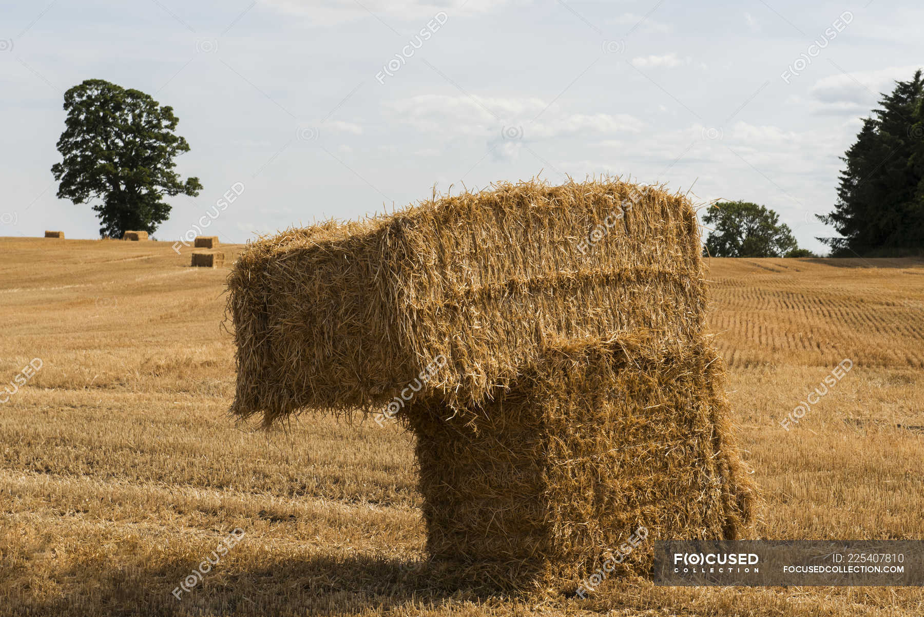 Stacked Hay Bales In A Field Northumberland England Surface Background Stock Photo