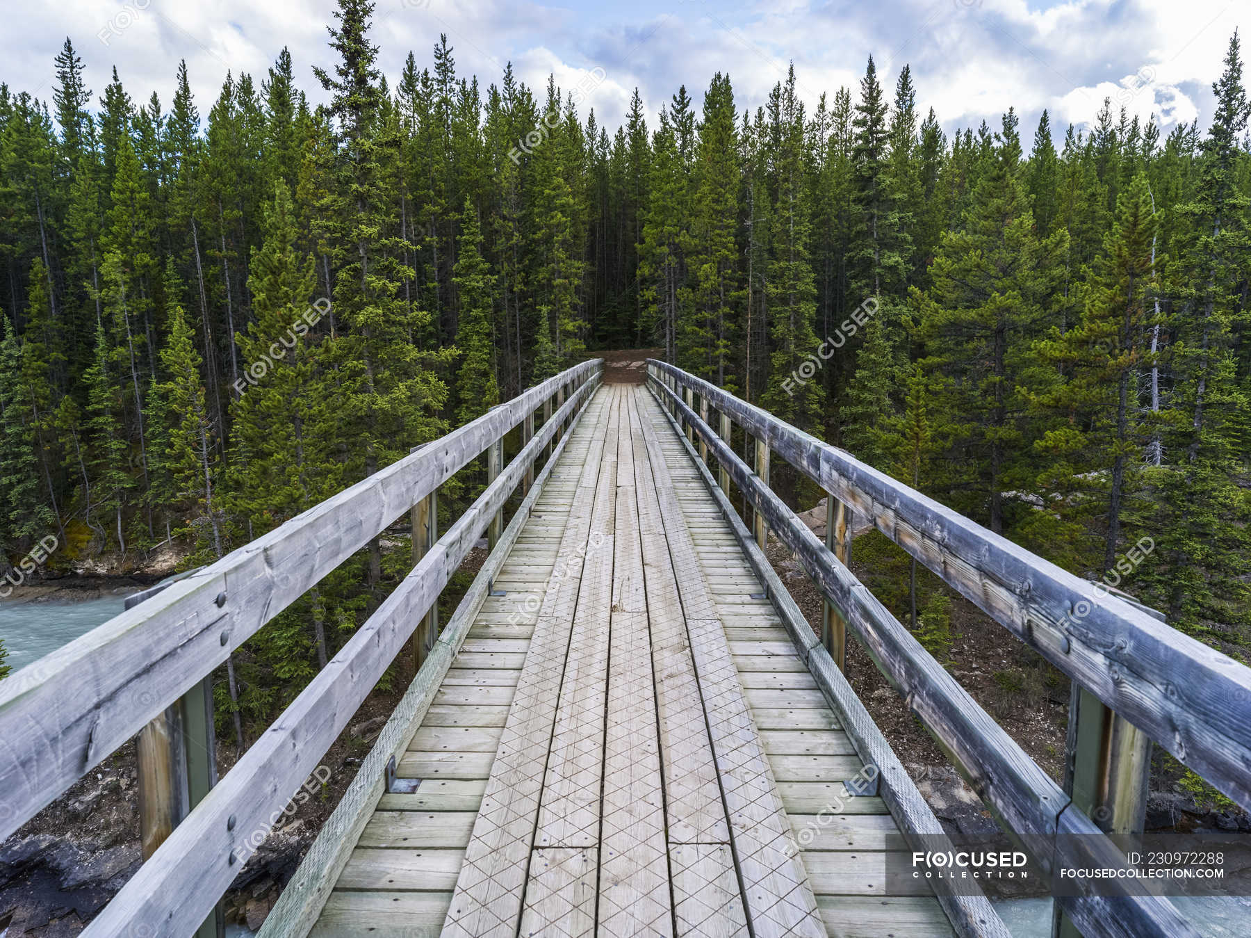 Wooden Bridge Trail Crossing A River Into A Forest Alberta Canada   Focused 230972288 Stock Photo Wooden Bridge Trail Crossing River 