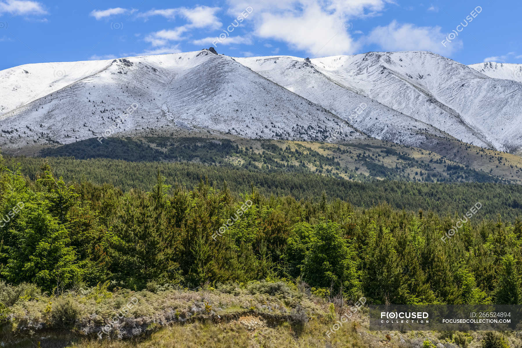 Snowy Mountains And Endless Forests Near Lake Pukaki South Island New Zealand Clouds Tourism Stock Photo