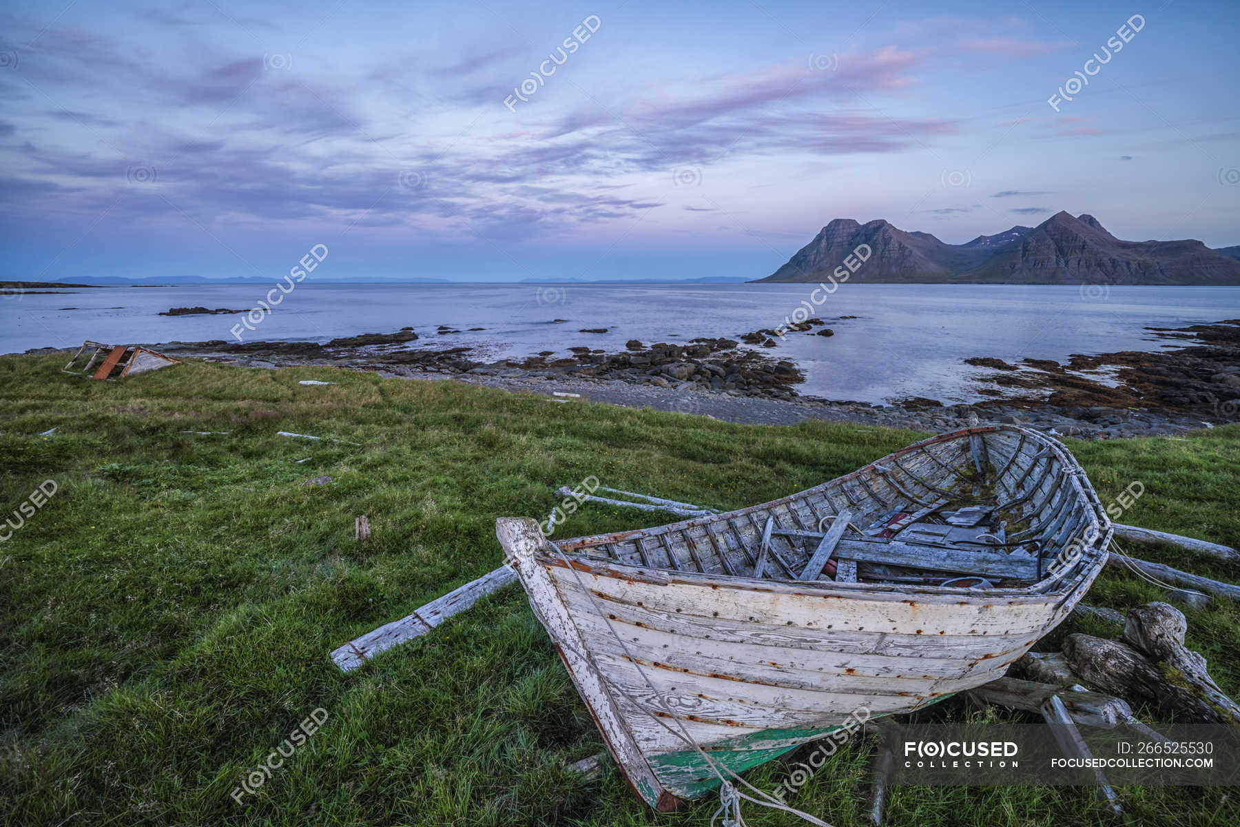 kapacitet Mild Øjeblik Old boat along the shore of the Strandir Coast; Djupavik, West Fjords,  Iceland — grass, water - Stock Photo | #266525530