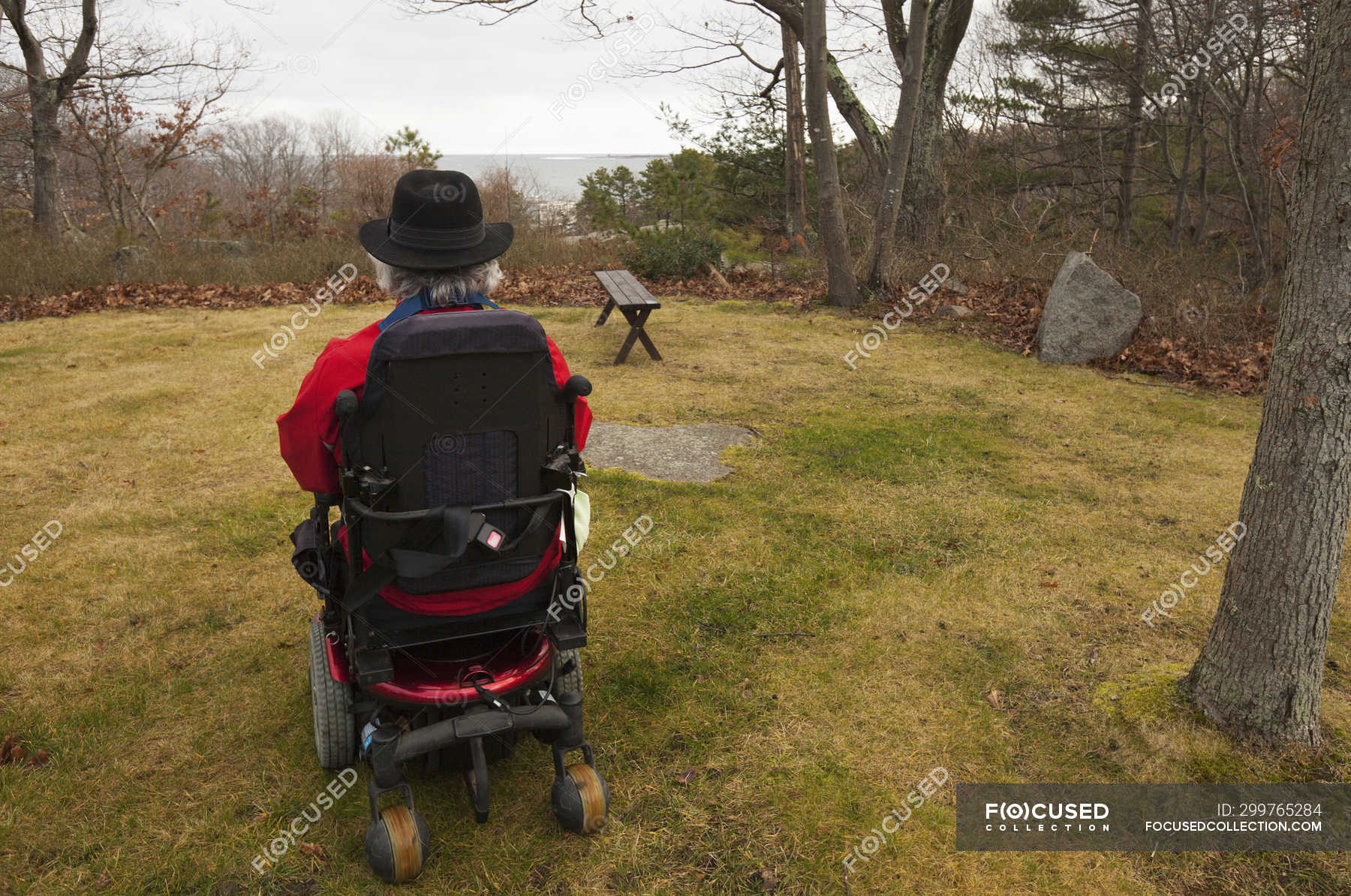 multiple sclerosis patient in wheelchair