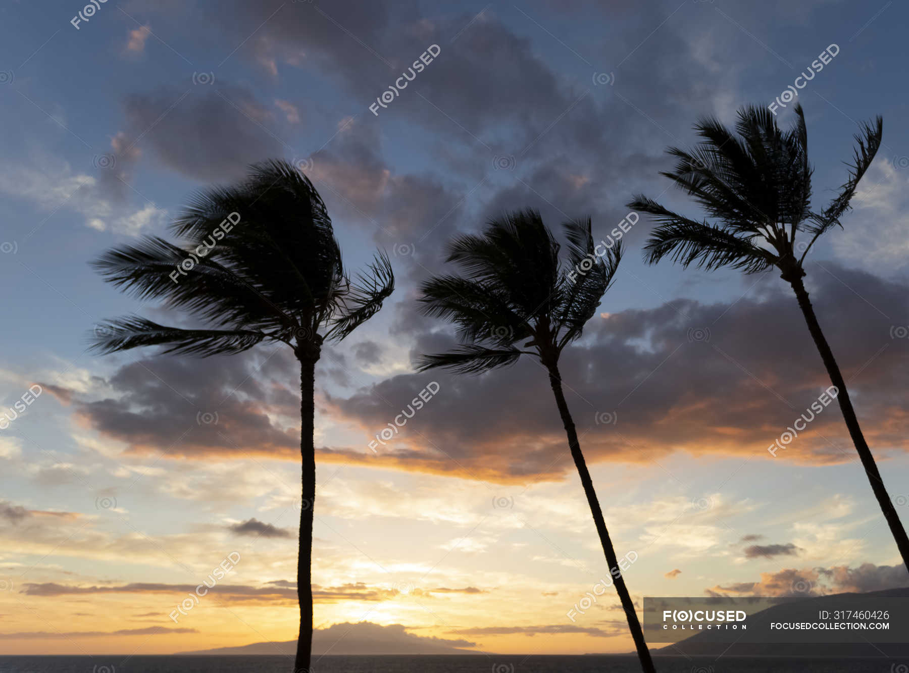 Kamaole One And Two Beaches Kamaole Beach Park Kihei Maui Hawaii