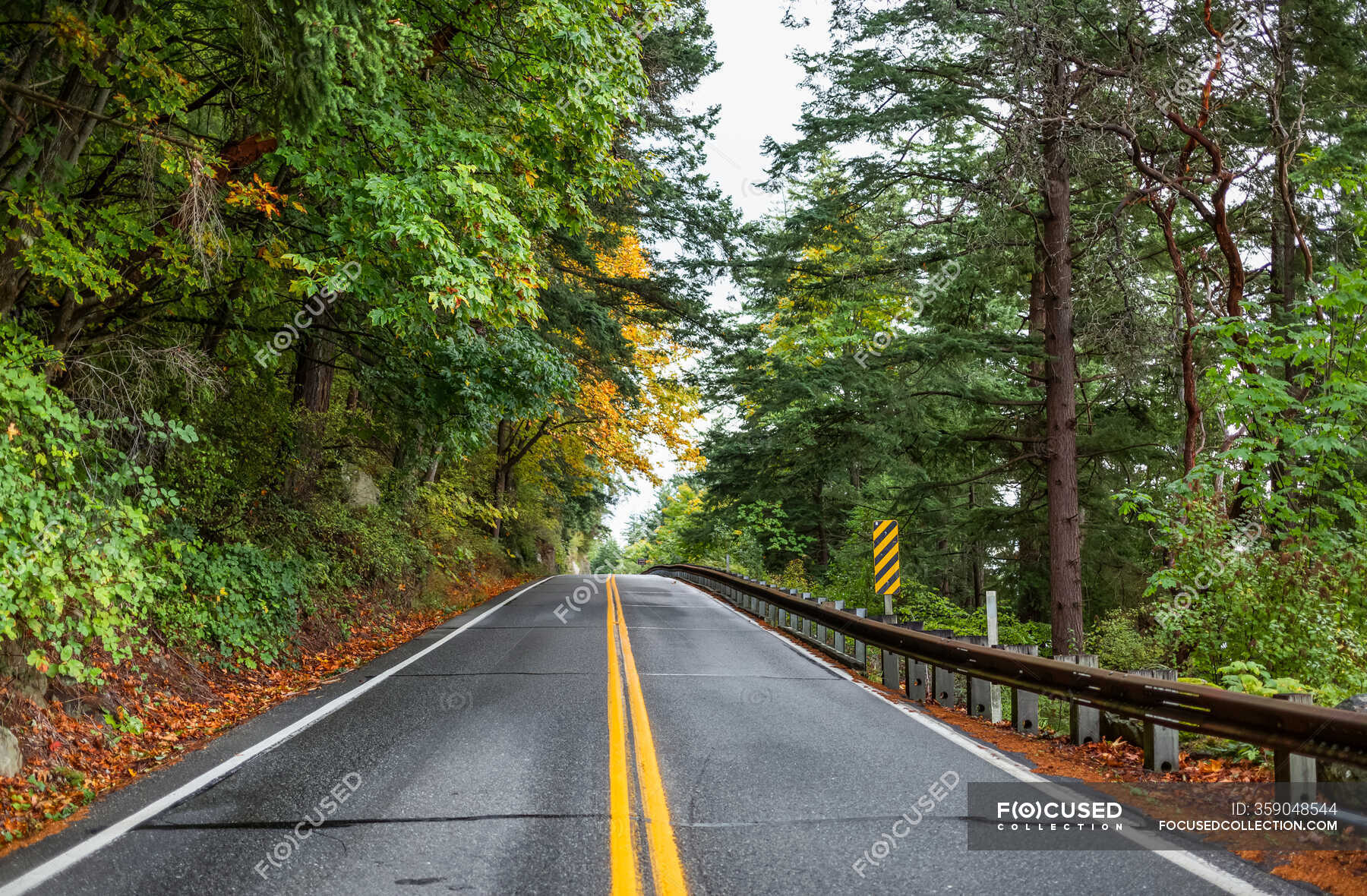 driving-south-on-chuckanut-drive-out-of-belllingham-on-an-october-day