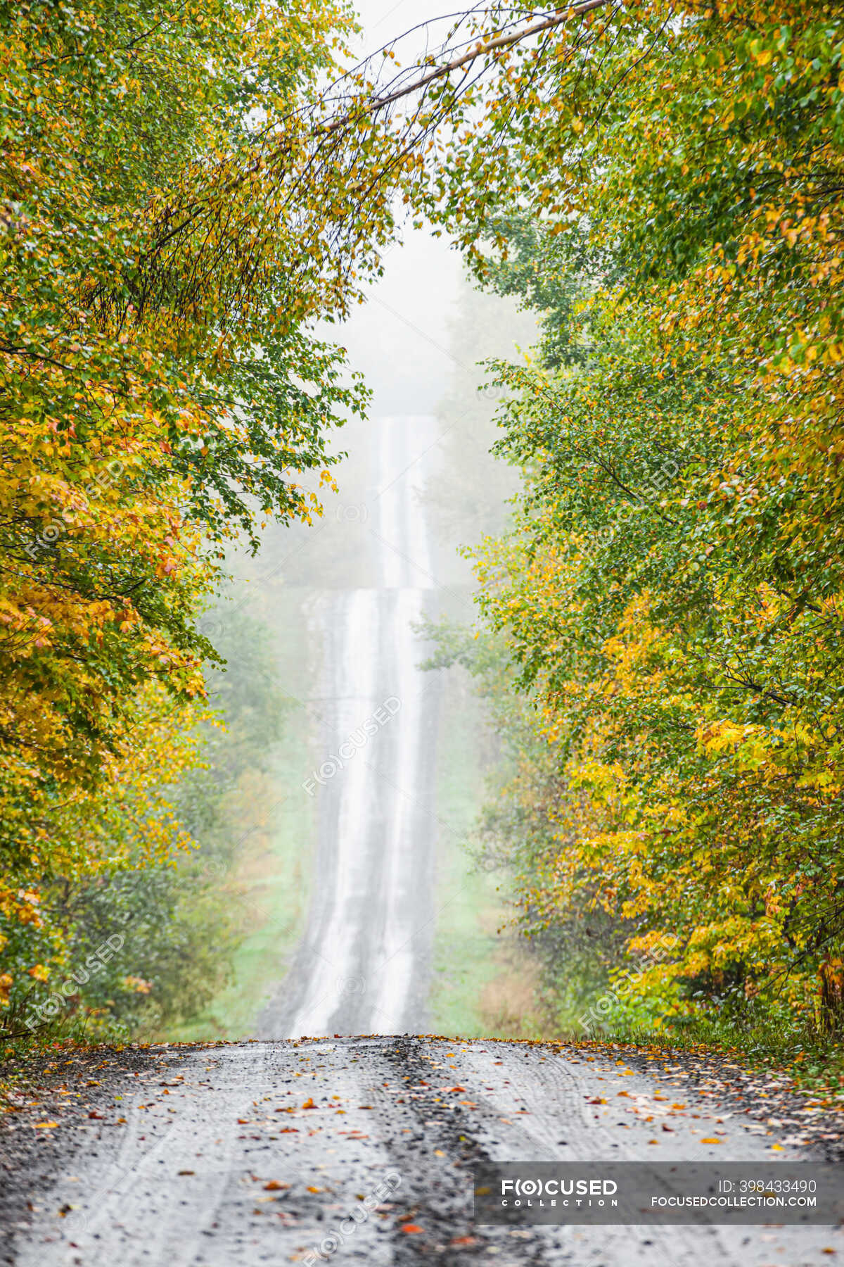 Misty Wet And The Power Of Atmosphere - ecvygd9