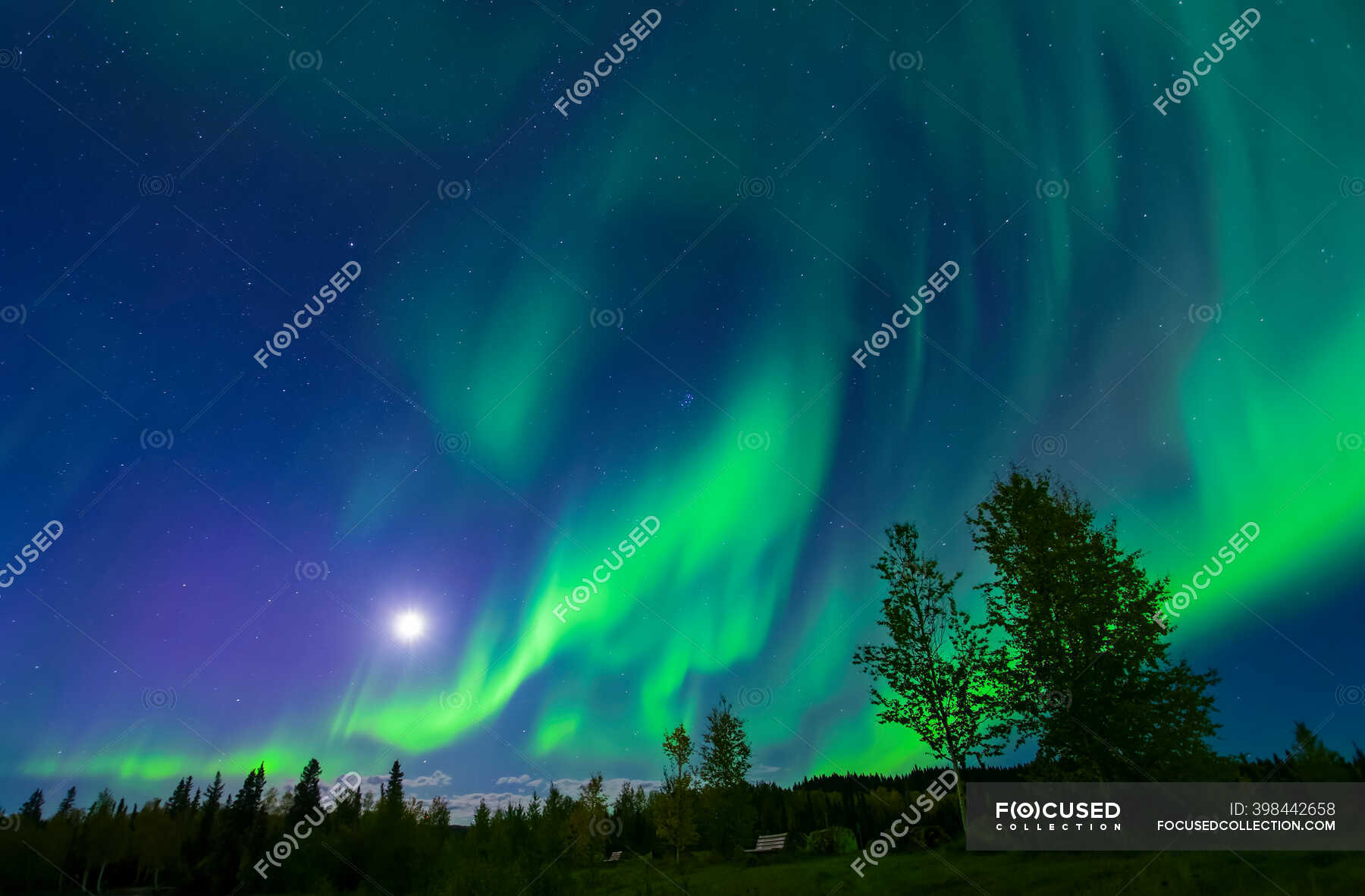 Bright green aurora swirling over Birch Lake shore, Interior Alaska in ...