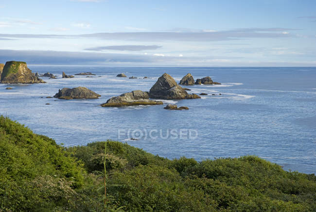 Costa de Oregón y rocas marinas - foto de stock