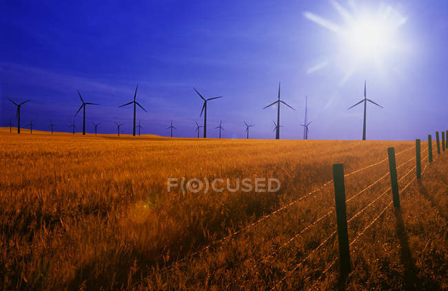 Les éoliennes sur le terrain — Photo de stock