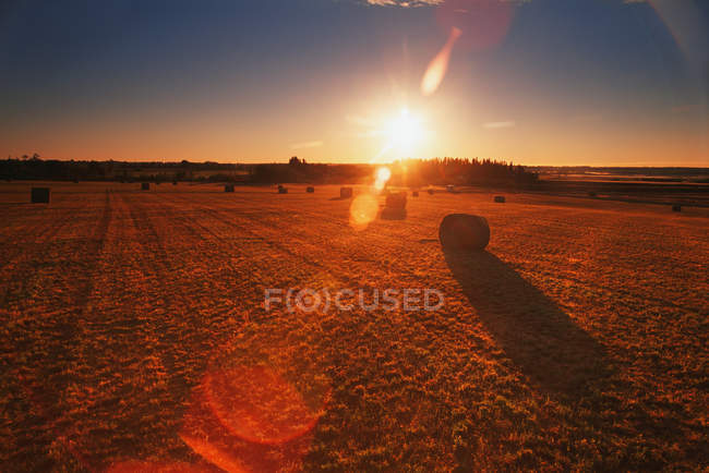 Bales Of Hay In Field — Stock Photo