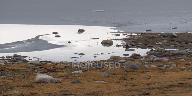 Neve e ghiaccio lungo il bordo delle acque — Foto stock